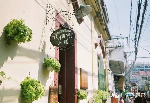 厦门攻略详细版,园博园一日游攻略厦门门票