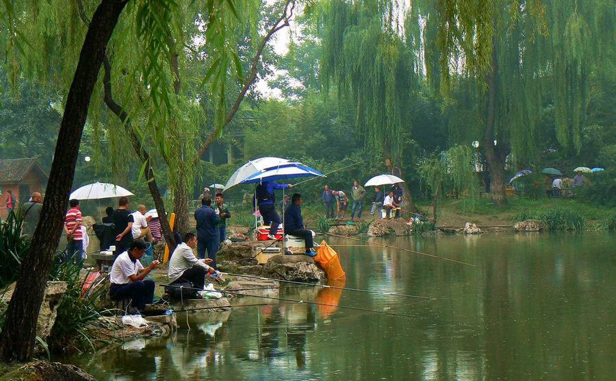 独钓静乐、群钓同乐、竞钓比乐，钓鱼的医疗保健