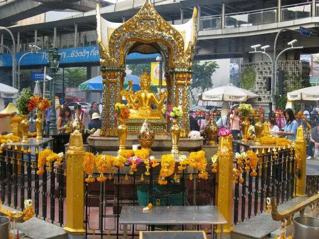 揭秘：真实的泰国人妖，昙花一现的美丽