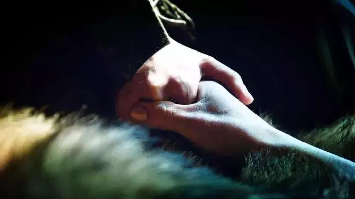 权力的游戏八集一口气看完不分段,权力的游戏6到8季片段整理