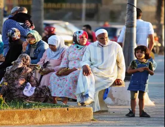 喵星人｜铲屎大大，发现一个超适合撸猫的地方……
