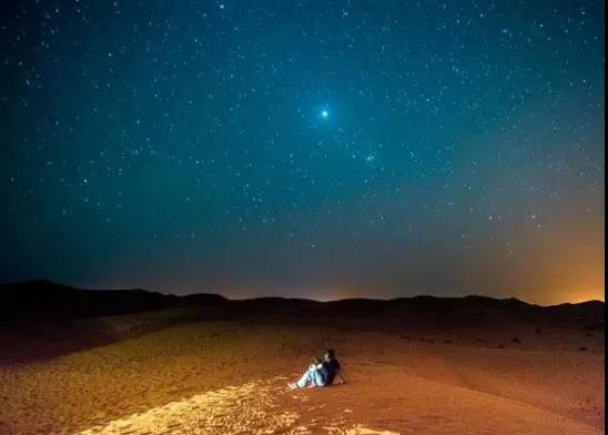 喵星人｜铲屎大大，发现一个超适合撸猫的地方……