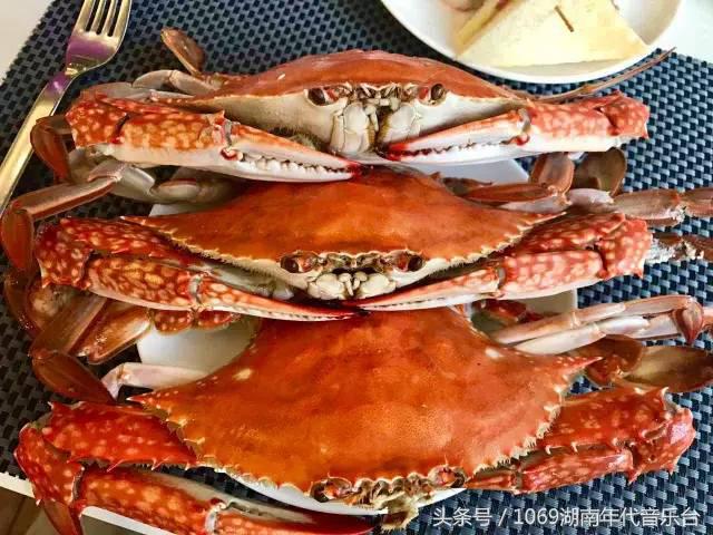 长沙十大高档海鲜自助餐厅,长沙海鲜火锅自助餐厅推荐