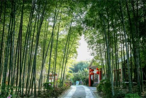 南京休闲农庄哪家好,南京适合一日游的农庄
