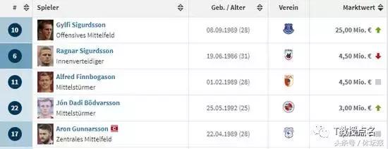中国球迷在世界杯现场哭了,为什么冰岛能进入世界杯