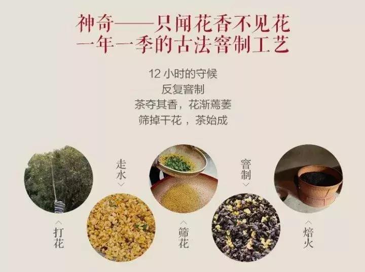 喝茶的女孩子什么气质,喝茶的女性都有什么吸引力