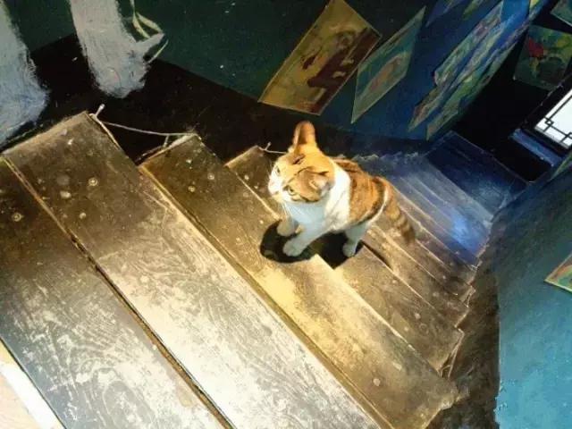 小洲玩点啥,小洲去哪玩了