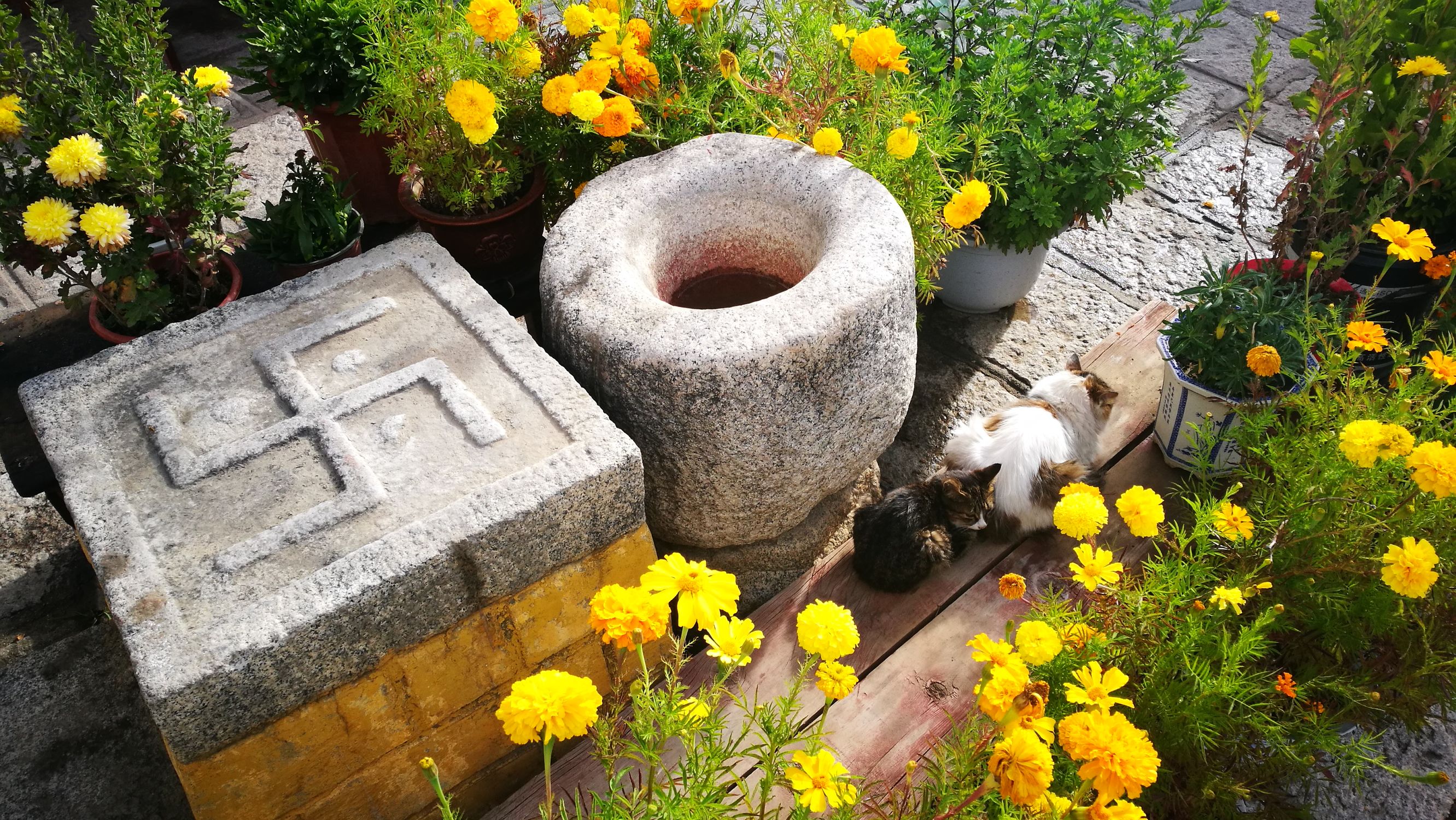 阿底峡尊者随身佛塔,阿底峡尊者藏语