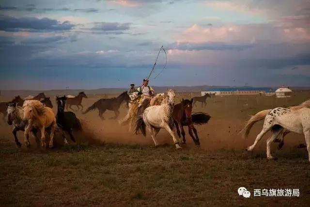 去了内蒙为什么敬酒三杯，哈达怎么接，马奶也是良药？