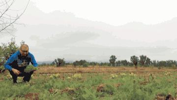 一场秋宴是清欢/农场餐桌之慈心秋宴纪实Farm-to-Table