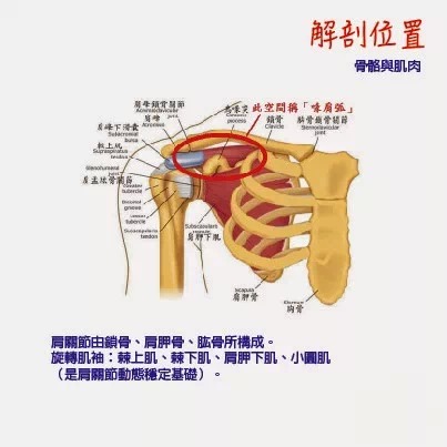 排球运动员如何保护肩关节,排球运动容易出现肩袖肌群损伤