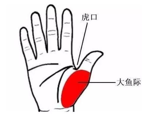 早醒失眠中药可以调理吗,睡眠不好还早醒按哪个穴位最有效