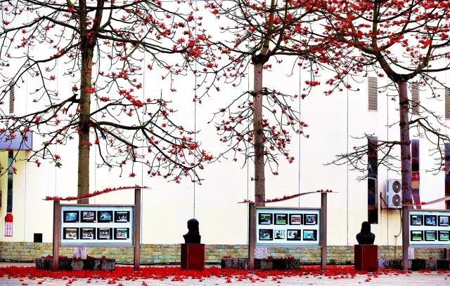 柳州市第十二中学分数线,柳州市第十二中学农志勋