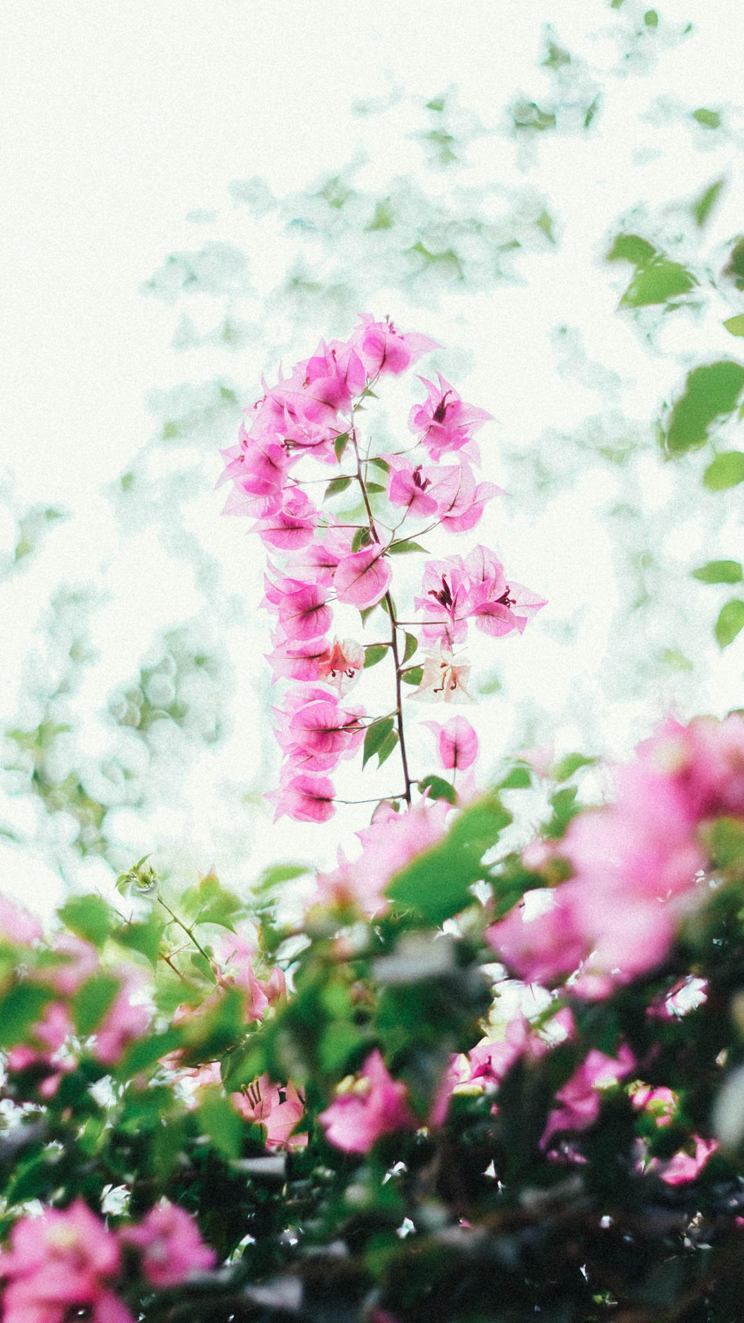 锁屏和桌面壁纸一套唯美,4k佛系唯美意境黑色锁屏壁纸