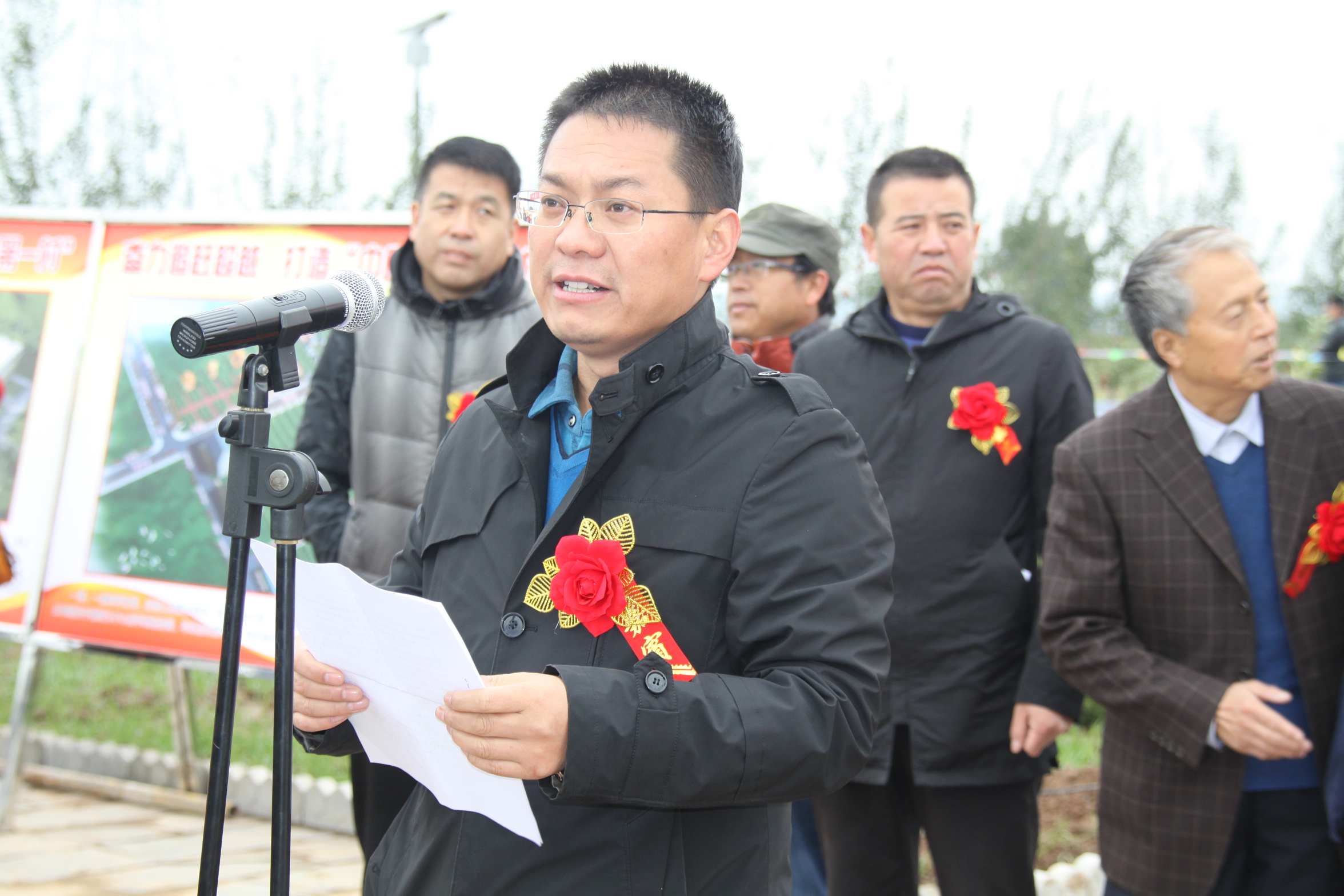 最新的洛川苹果,新的洛川苹果