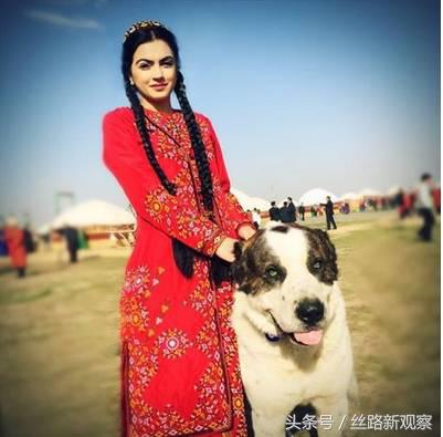 普京萌犬,普京再次喜提萌犬