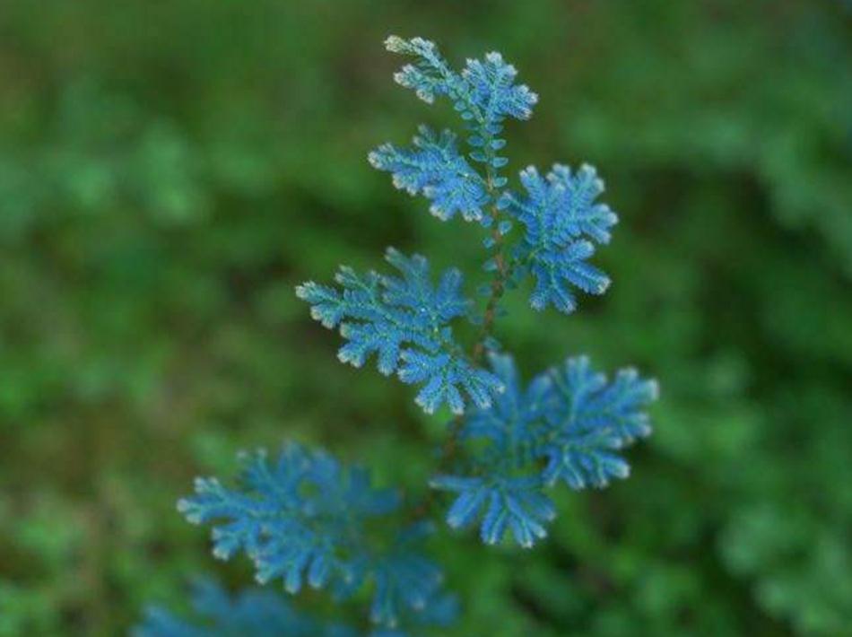 当你一无所有时怎么东山再起,当你一无所有的时候才幡然悔悟