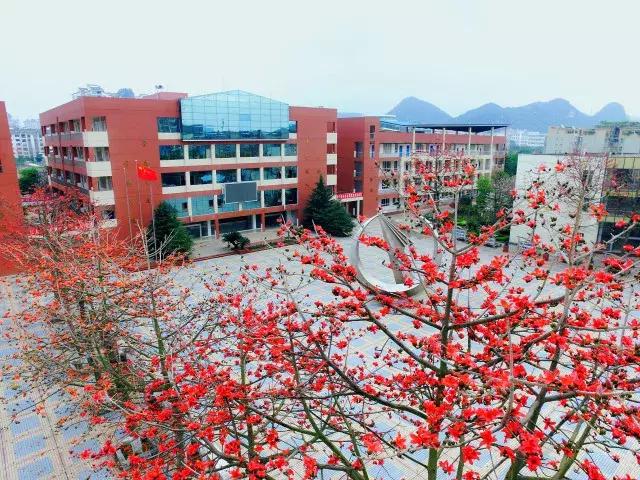 柳州市第十二中学分数线,柳州市第十二中学农志勋