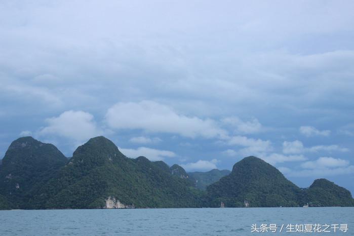 去兰卡威红树林,去兰卡威怎么玩