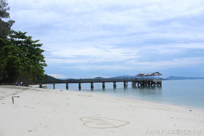 去兰卡威逗小鲨鱼，登嘉楼热浪岛浪一浪