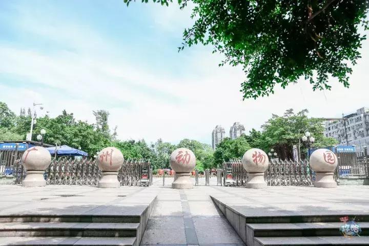 广州动物园的地图,广州动物园下一站去哪里