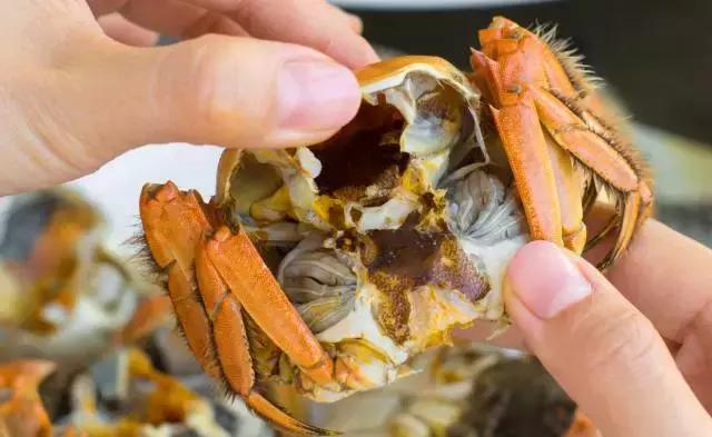 大闸蟹不限量自助西安,五星级自助餐大闸蟹不限量自助餐