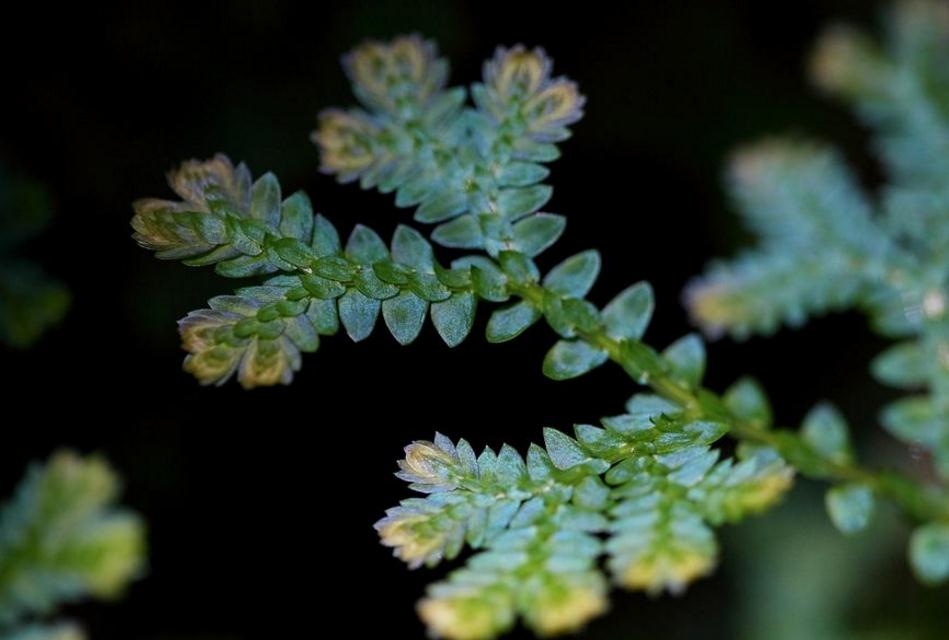 当你一无所有时怎么东山再起,当你一无所有的时候才幡然悔悟