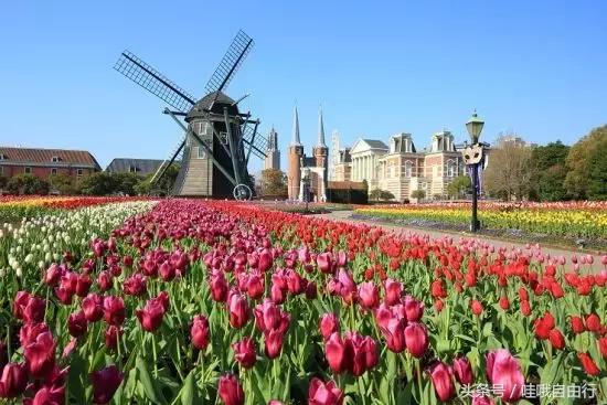 日本九州有哪些旅游景点,日本九州和本州哪里好玩