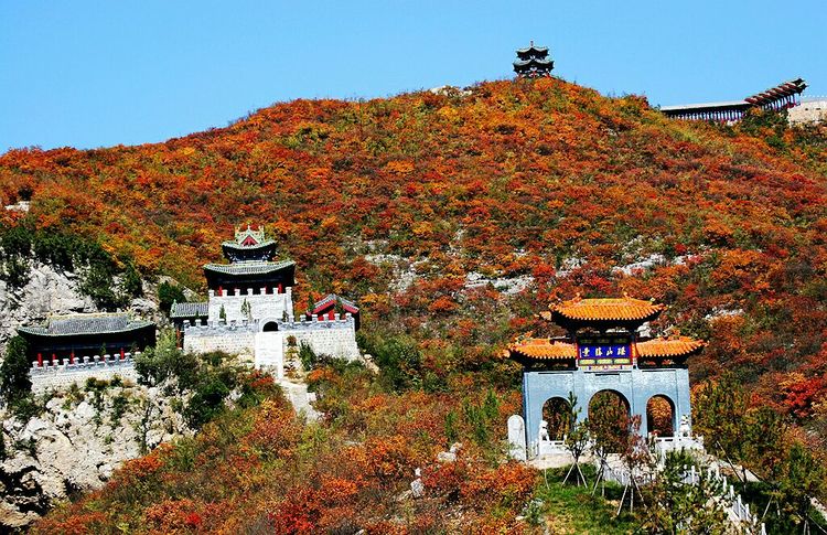 秋韵流过的晋城红