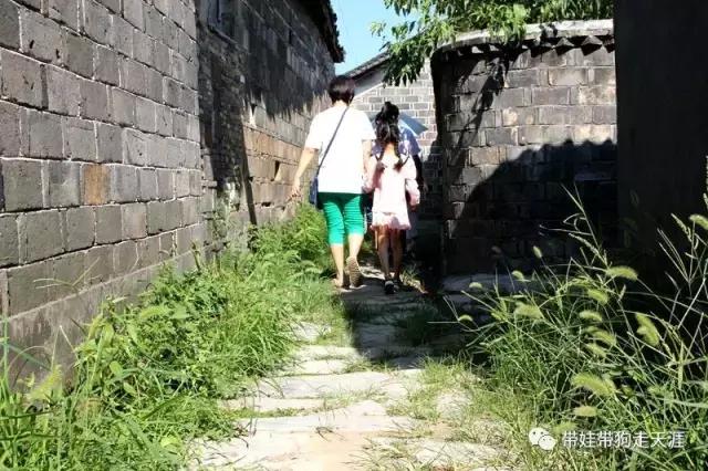 开着房车去遛娃,开着房车带狗狗出去玩