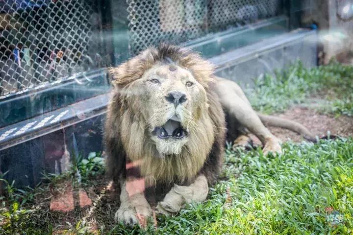 广州动物园的地图,广州动物园下一站去哪里