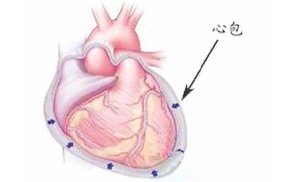 男性冠心病发病率比女性更高,男性发病率