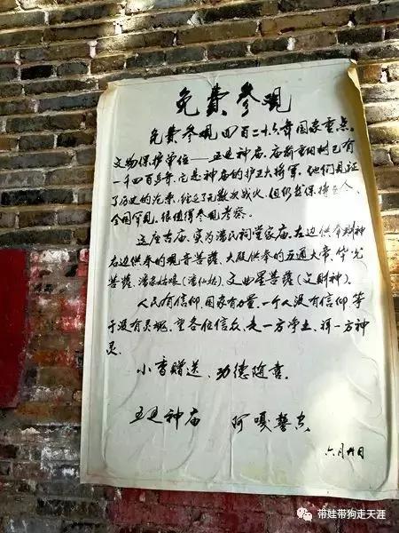 开着房车去遛娃,开着房车带狗狗出去玩