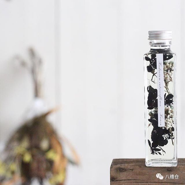 干花的颜色和品种,干花的形态分类