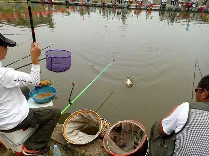 定州行营户外钓具,定州行营钓具