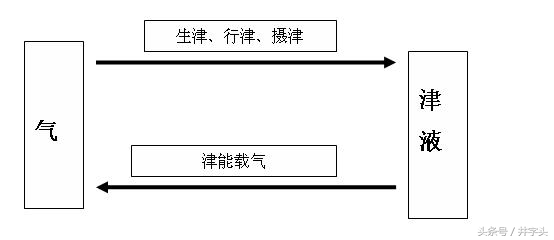 静功导引|《服气精义论》九篇,接地气的修习法,看了就能做