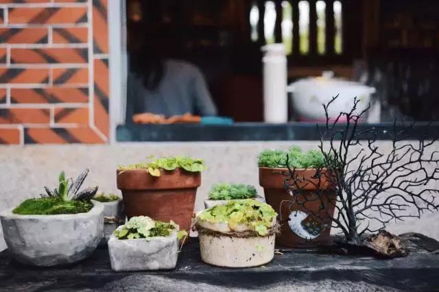 金门周游好去处,不旅行要用什么办法