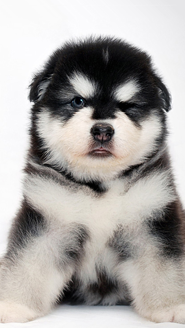 唯美1080×1920P高清壁纸锁屏画面待机背景图！请在wifi环境查看