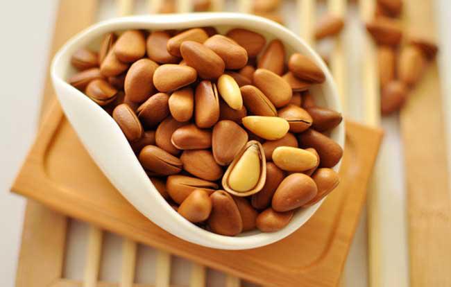 捡漏儿长白山大松子,我们一起来挖宝视频