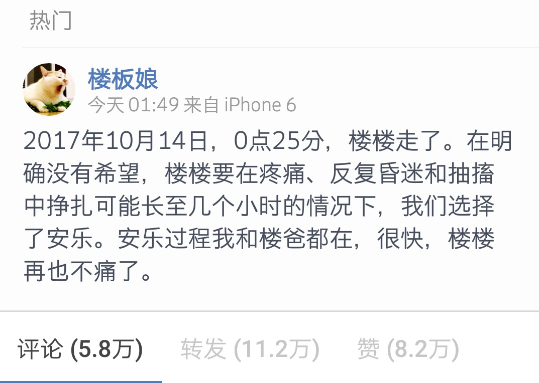 相信大家都看过这个猫的表情包,原来这些表情包是真实存在的猫咪