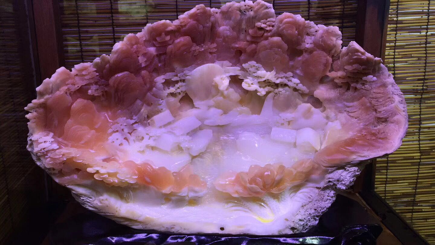 海洋生态文玩,砗磲手玩介绍