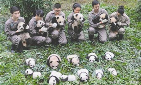 每天被人抱在怀里是什么感觉,每天都在抱大腿日常