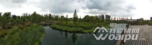 合肥新站区京商商贸城商铺价格,京商商贸城的商铺会升值吗