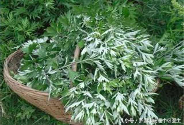 骨髓炎中药验方,骨髓炎医案