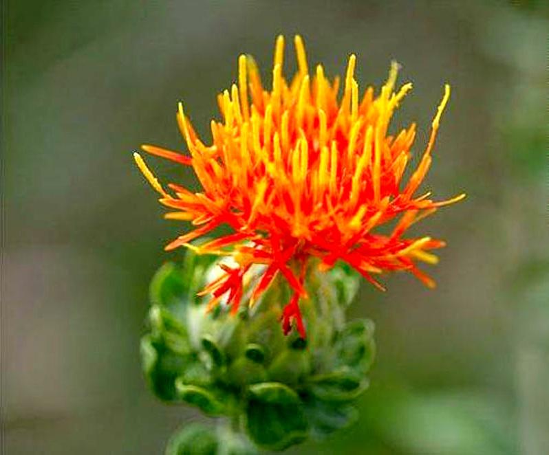 管锥编是钱钟书的著作吗,钱钟书的管锥篇讲了什么