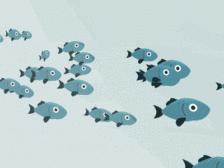 婴幼儿DHA藻油排行,婴幼儿dha藻油什么作用