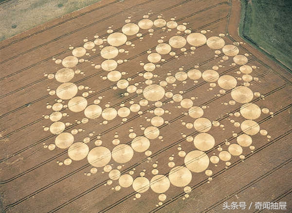 麦田怪圈为什么没有人造,麦田怪圈是外星人制造还是人造