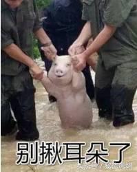 福州10月各区县市房价出炉！看到这两个地方，感觉买房还是有戏的