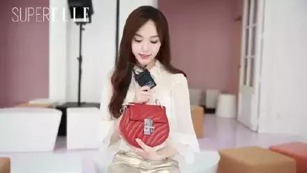 刘雯背的新款包是什么品牌,刘雯背过的一款蔻驰的包包