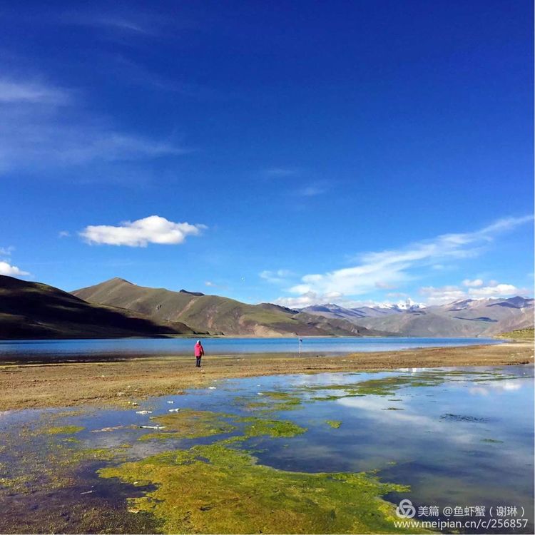只要能去*藏西**,头痛高反什么的都不care